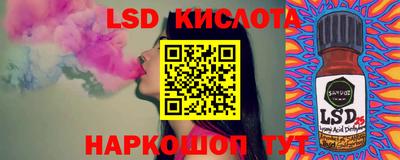 мдпв Кингисепп