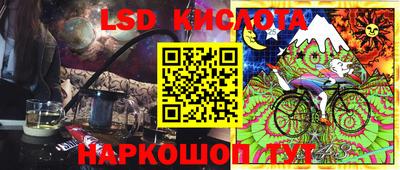 мдпв Кингисепп