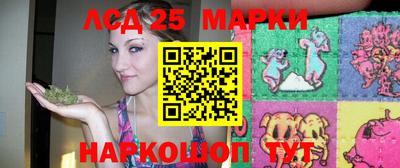 мдпв Кингисепп