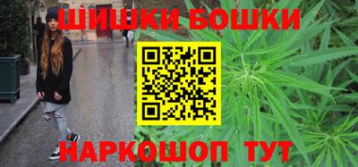 мдпв Кингисепп