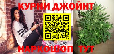 мдпв Кингисепп