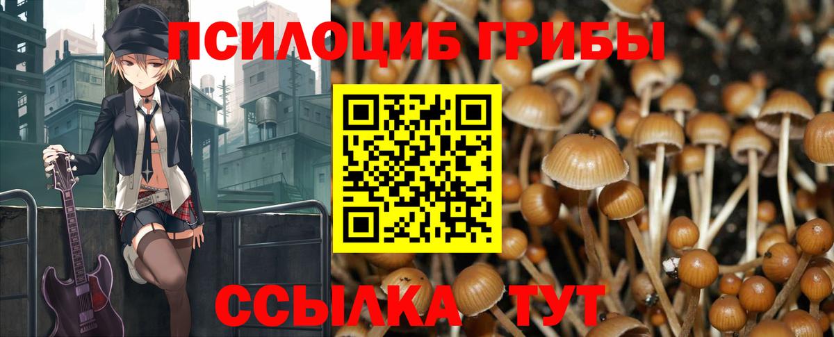 Галлюциногенные грибы GOLDEN TEACHER Верхний Уфалей